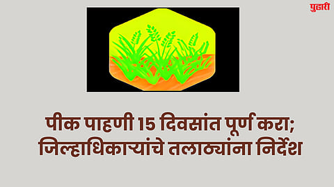 Crop Inspection