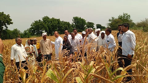 Dhule drought News 