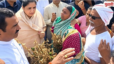 Loha Tehsil Drought Affected Farmland