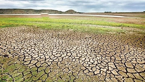 Drought Crisis | 