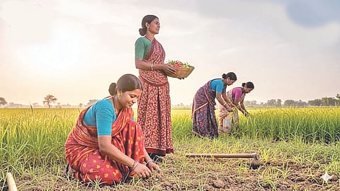 Women in Agriculture