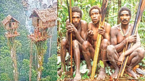 Korowai Tree Houses | 