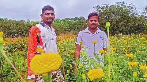Ratnagiri News