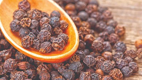 History of Black Pepper |