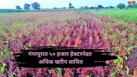Gangapur News