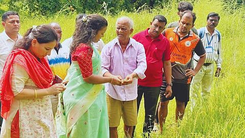 Sindhudurg News