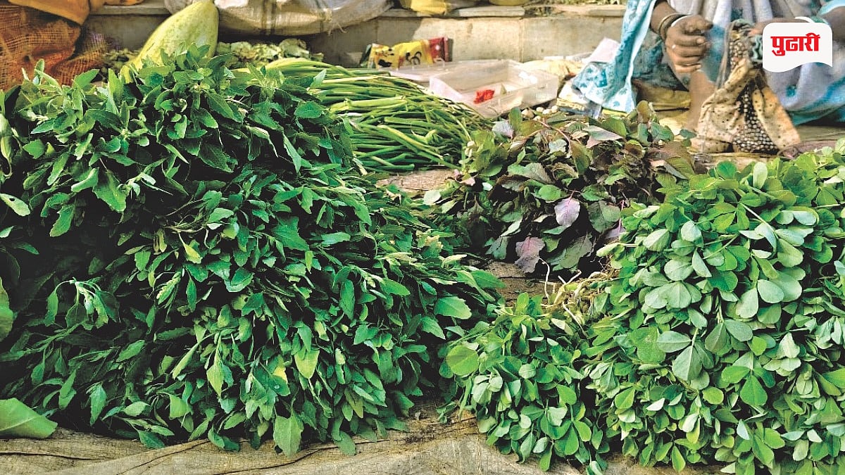 पावसामुळे आवक घटल्याने पालेभाज्या महागल्या