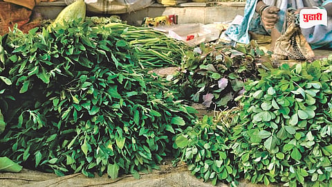 Leafy Vegetable Prices