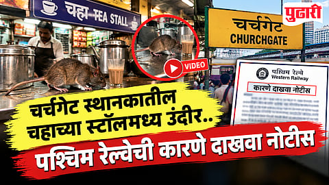 Churchgate station Rat Video
