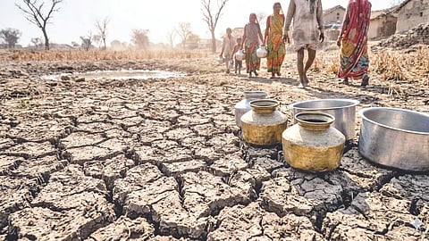 Drought situation
