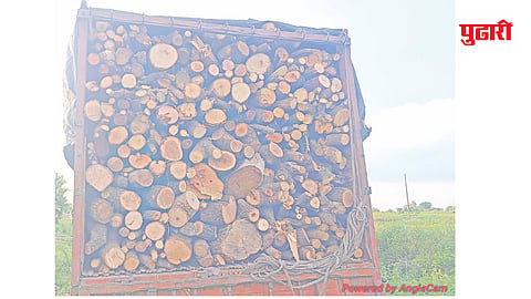 Jalna forest crime