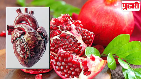 pomegranate for heart health