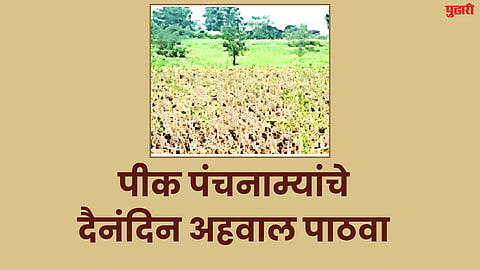 Crop Panchnama