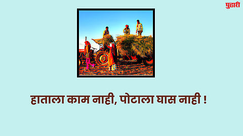 Beed News