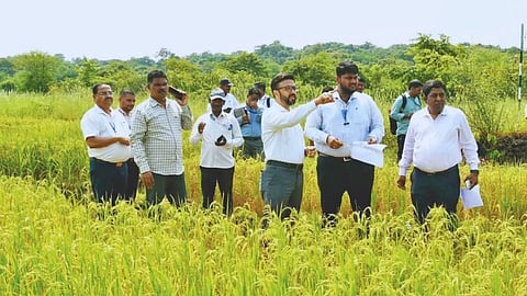 Ratnagiri News