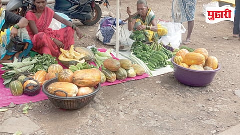 Jibud fruit demand
