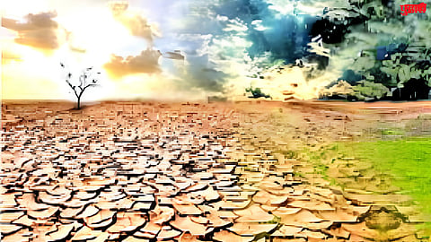 Drought News
