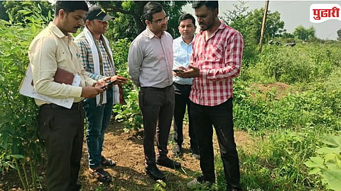 Crop Damage Inspection