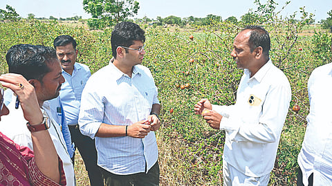 Solapur News : चारा डेपो, छावण्यांऐवजी अनुदान द्या