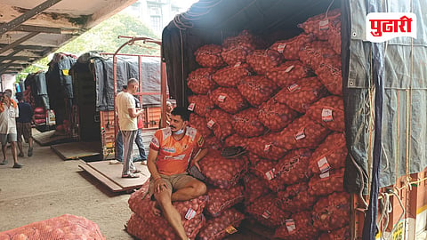 Mumbai APMC onion potato market