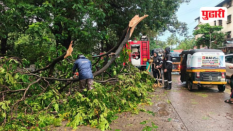 Panvel rain damage