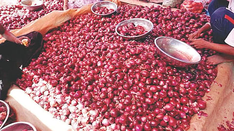 Onion Prices : इजिप्तच्या कांद्याची धास्ती; आवक वाढली, दर घसरले