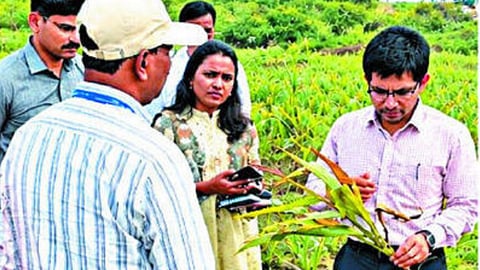 Nashik drought