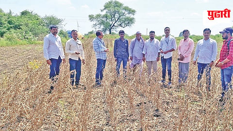 Crop Loss Compensation