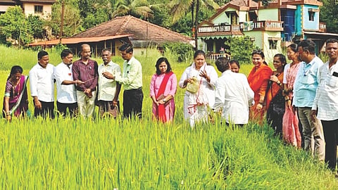 Sindhudurg News