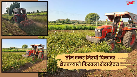 Agriculture News