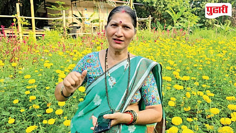 Goa Farming
