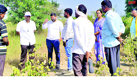 Nanded Drought News