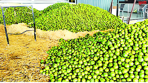 Drought crisis