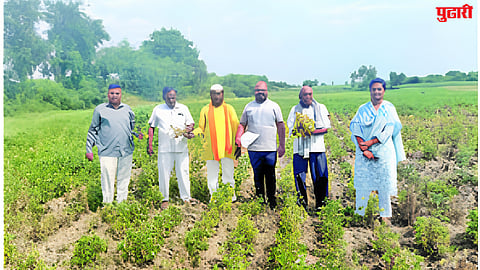 Crop Panchnama