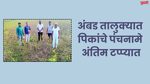 Crop Damage Survey