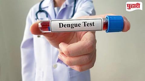Dengue Cases