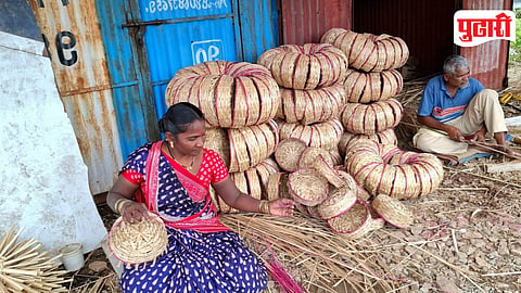 Bamboo Paradi
