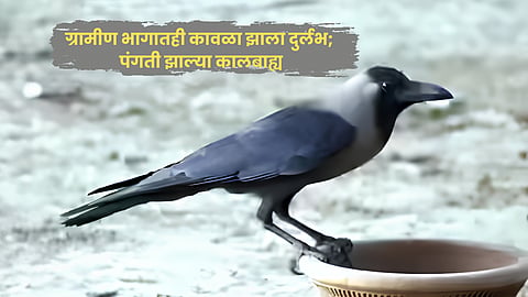Pitru Paksha 