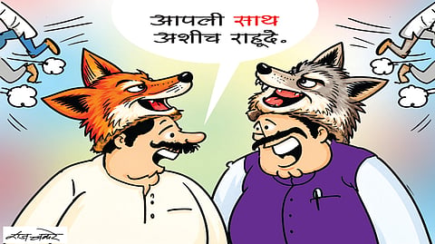 पहिला चहा | कोल्ह्याला जंगल वावडे...