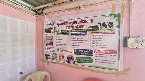Beed News : मुख्यमंत्री ग्रामीण पशुधन उद्योजकता योजनेच्या नावाखाली पशुपालकांची आर्थिक फसवणूक