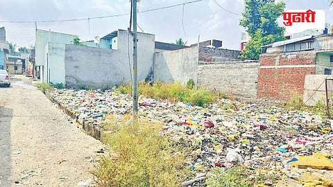 Kalamb garbage problem
