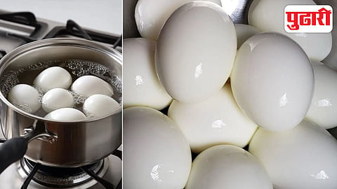 Boiled Eggs