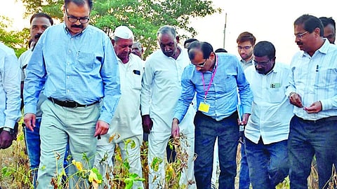 Solapur News : एकरी पंचवीस हजार खर्च करूनही पिके गेली