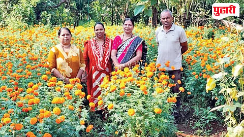 Goa Farm News 