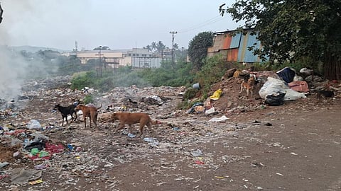 Kolhapur Pulachi Shiroli garbage depot issue
