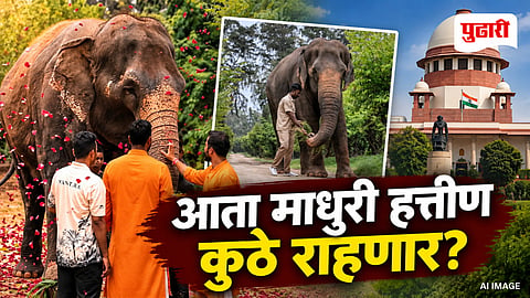 Madhuri Elephant Case