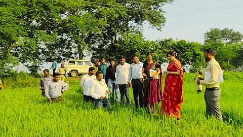 बल्लारपूर तालुक्यात जिल्हाधिकाऱ्यांकडून पिकांच्या नुकसानीची पाहणी