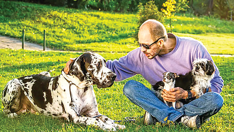 Dog Ageing Study | मोठ्या आकाराचे कुत्रे ‘एपिजिनेटिक’ स्तरावर अधिक वेगाने म्हातारे 