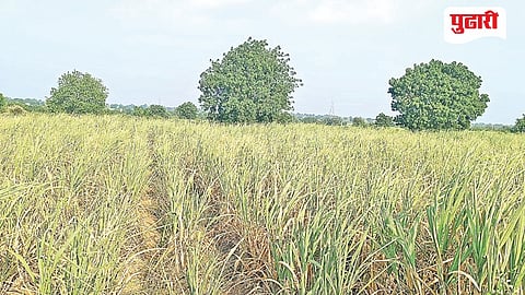 Jalna Water Scarcity