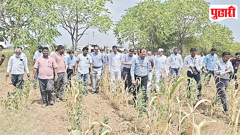 Ahilyanagar Drought